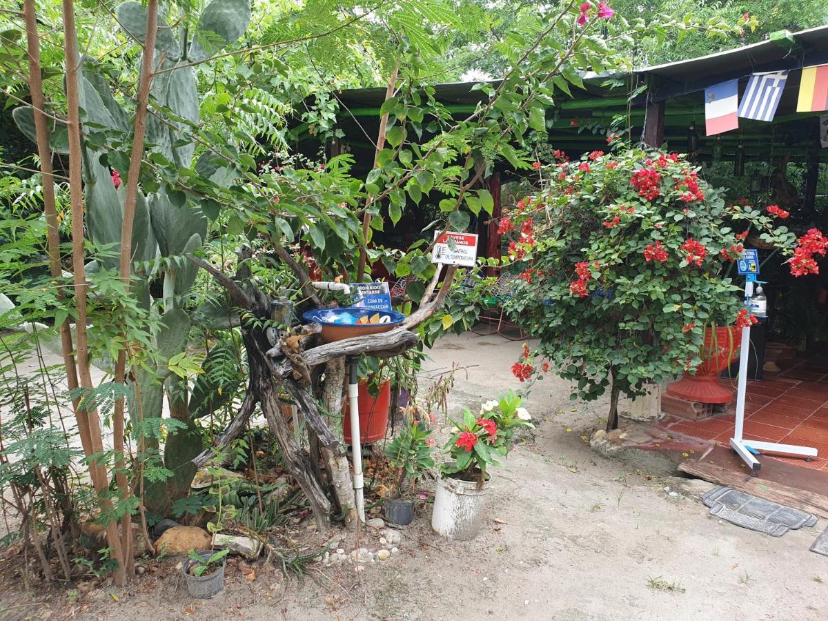 Alojamiento Casa De Campo Los Cactus วิลญาเวียคา ภายนอก รูปภาพ