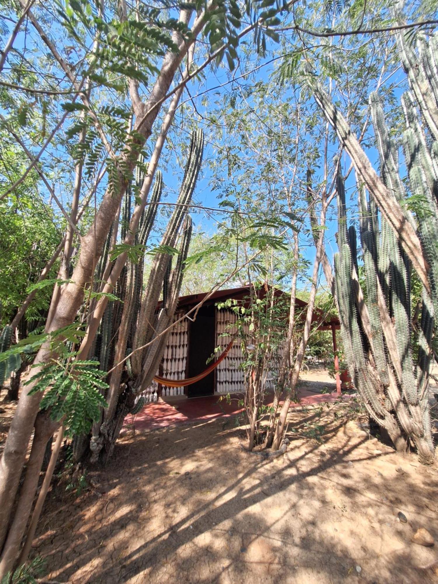 Alojamiento Casa De Campo Los Cactus วิลญาเวียคา ภายนอก รูปภาพ
