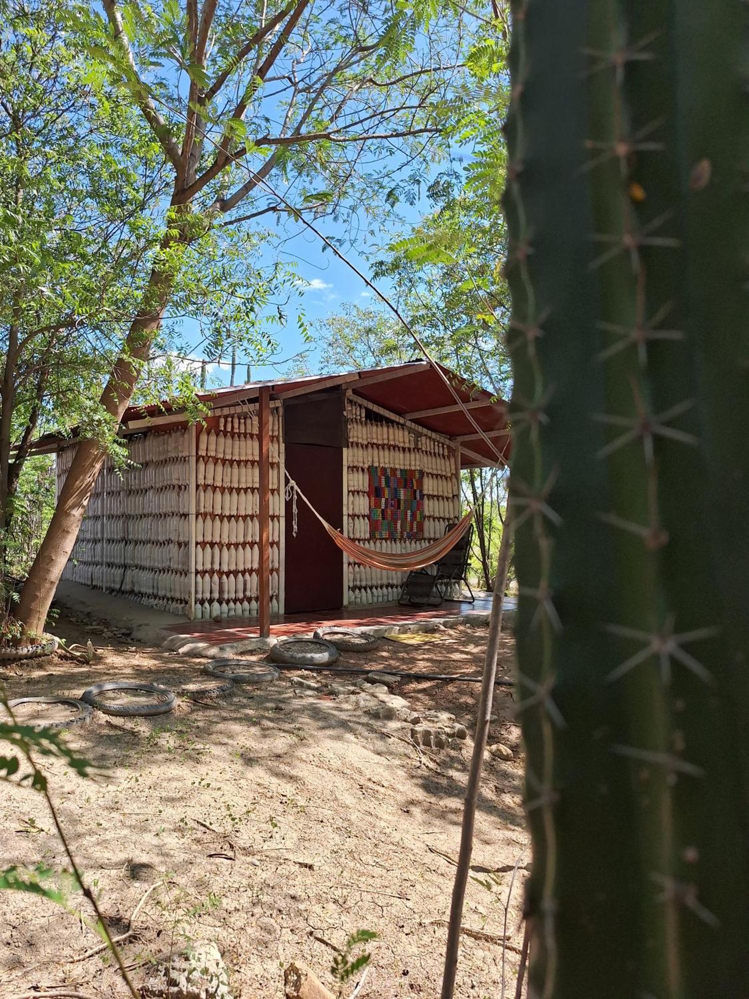 Alojamiento Casa De Campo Los Cactus วิลญาเวียคา ภายนอก รูปภาพ