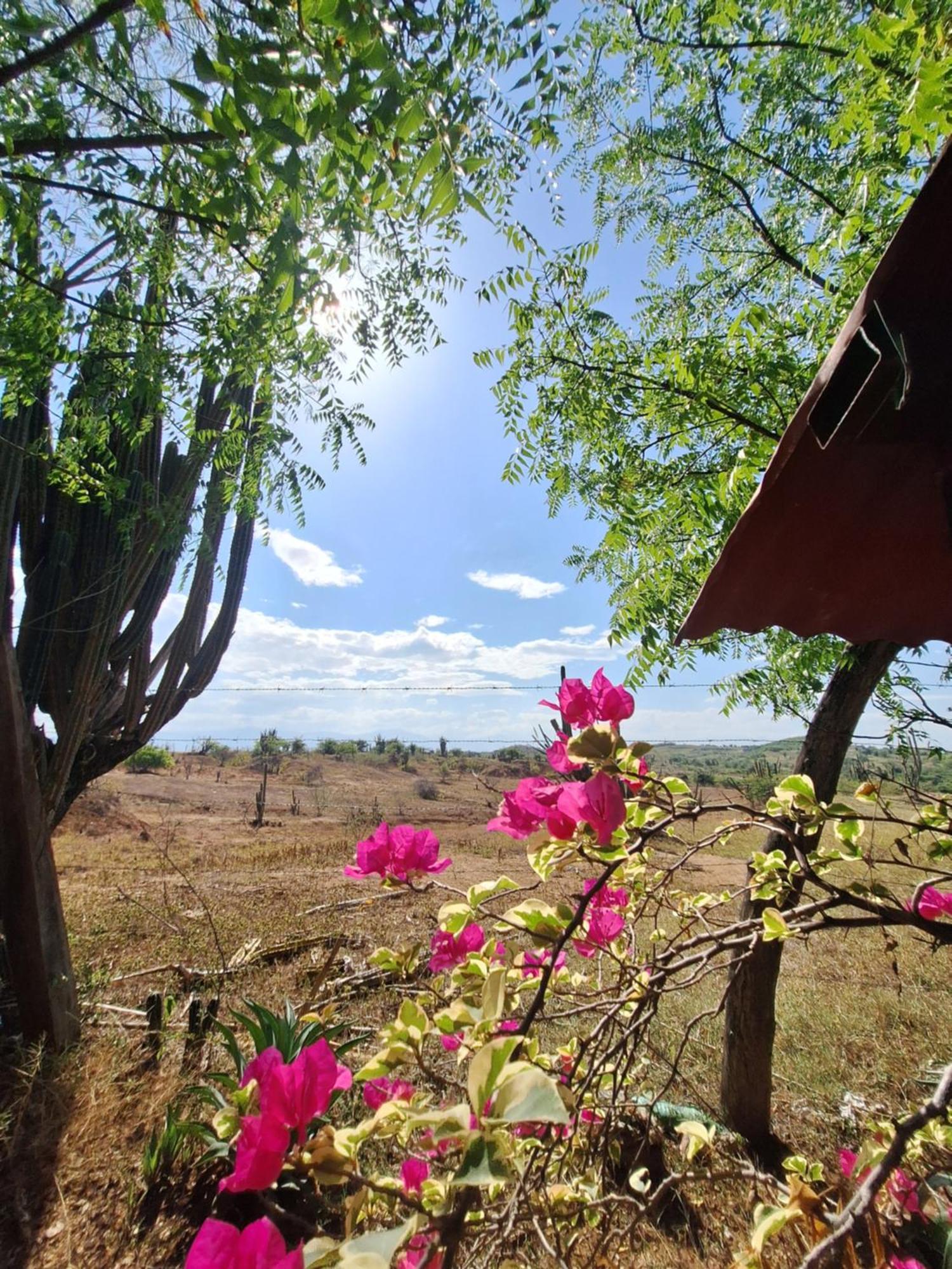 Alojamiento Casa De Campo Los Cactus วิลญาเวียคา ภายนอก รูปภาพ