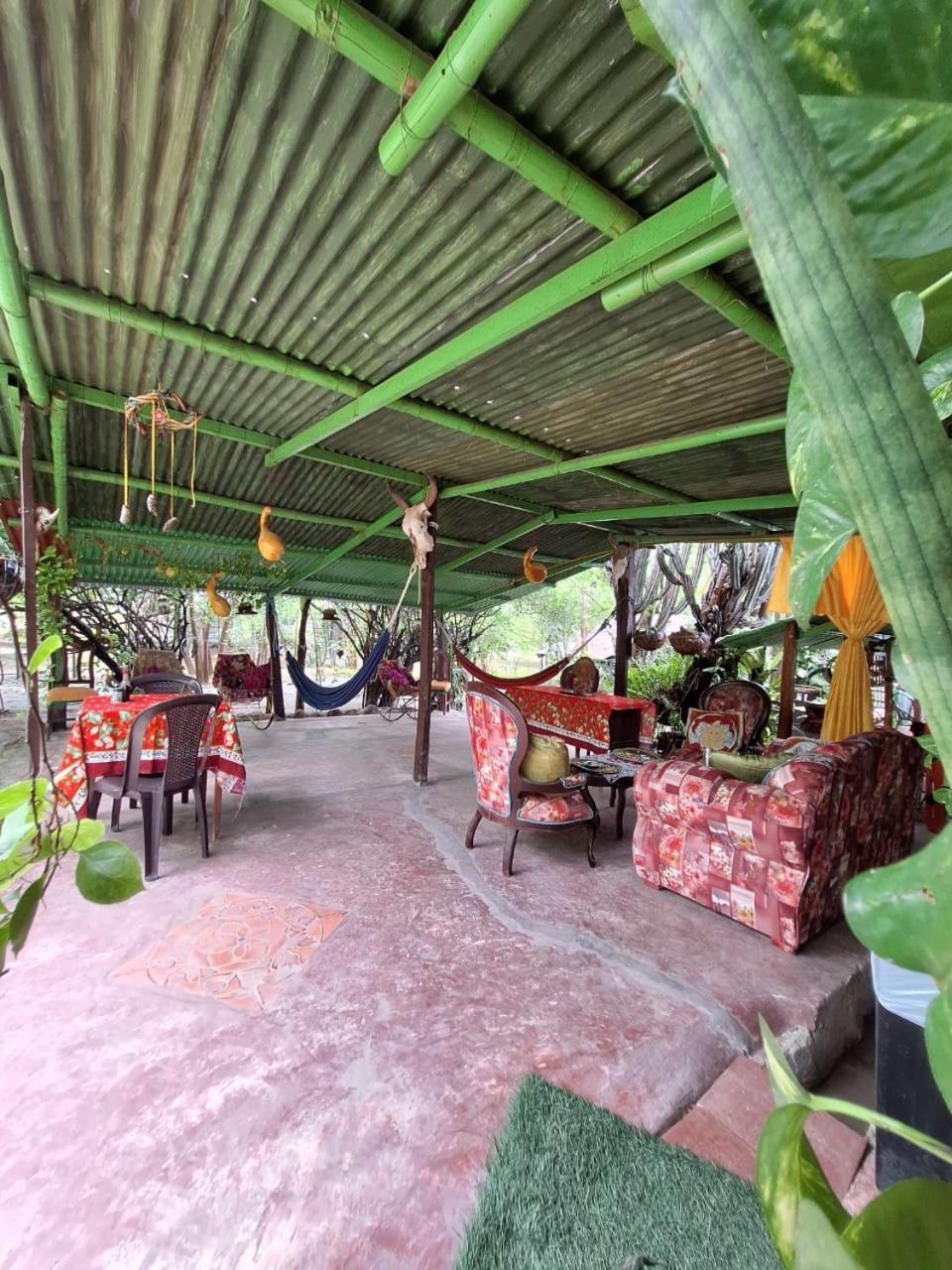 Alojamiento Casa De Campo Los Cactus วิลญาเวียคา ภายนอก รูปภาพ