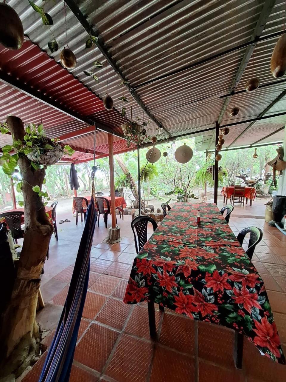 Alojamiento Casa De Campo Los Cactus วิลญาเวียคา ภายนอก รูปภาพ