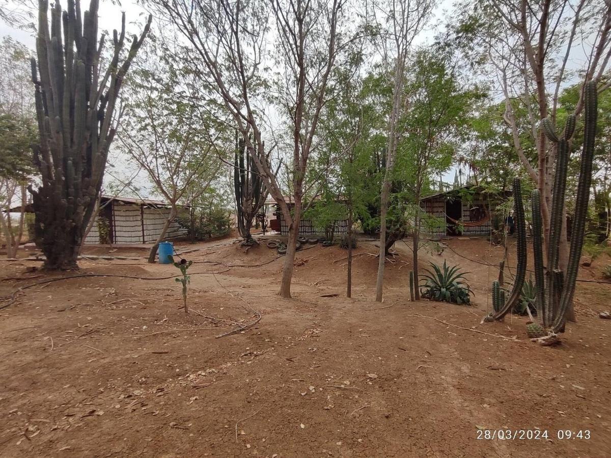 Alojamiento Casa De Campo Los Cactus วิลญาเวียคา ภายนอก รูปภาพ