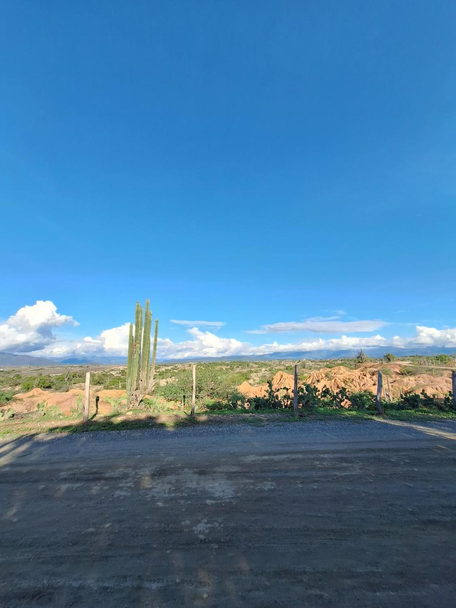 Alojamiento Casa De Campo Los Cactus วิลญาเวียคา ภายนอก รูปภาพ