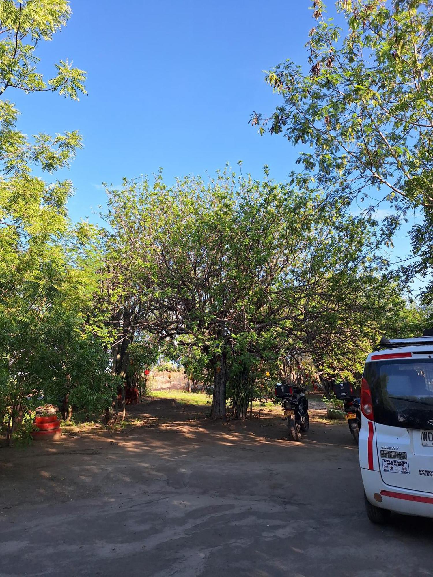 Alojamiento Casa De Campo Los Cactus วิลญาเวียคา ภายนอก รูปภาพ
