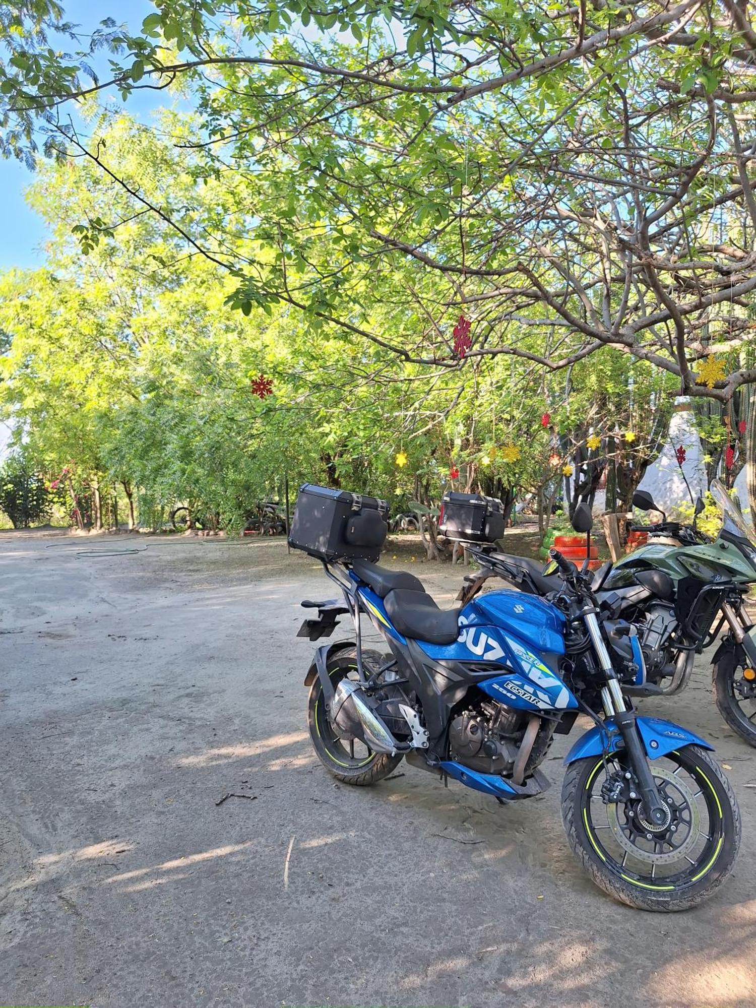 Alojamiento Casa De Campo Los Cactus วิลญาเวียคา ภายนอก รูปภาพ