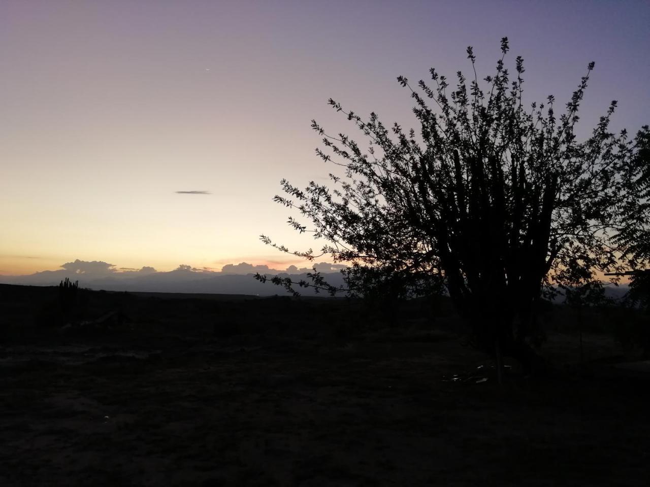 Alojamiento Casa De Campo Los Cactus วิลญาเวียคา ภายนอก รูปภาพ