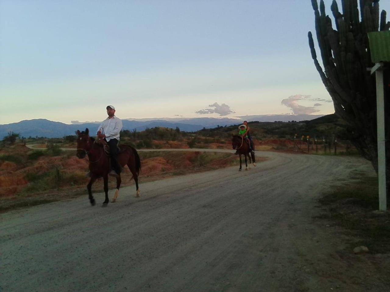 Alojamiento Casa De Campo Los Cactus วิลญาเวียคา ภายนอก รูปภาพ