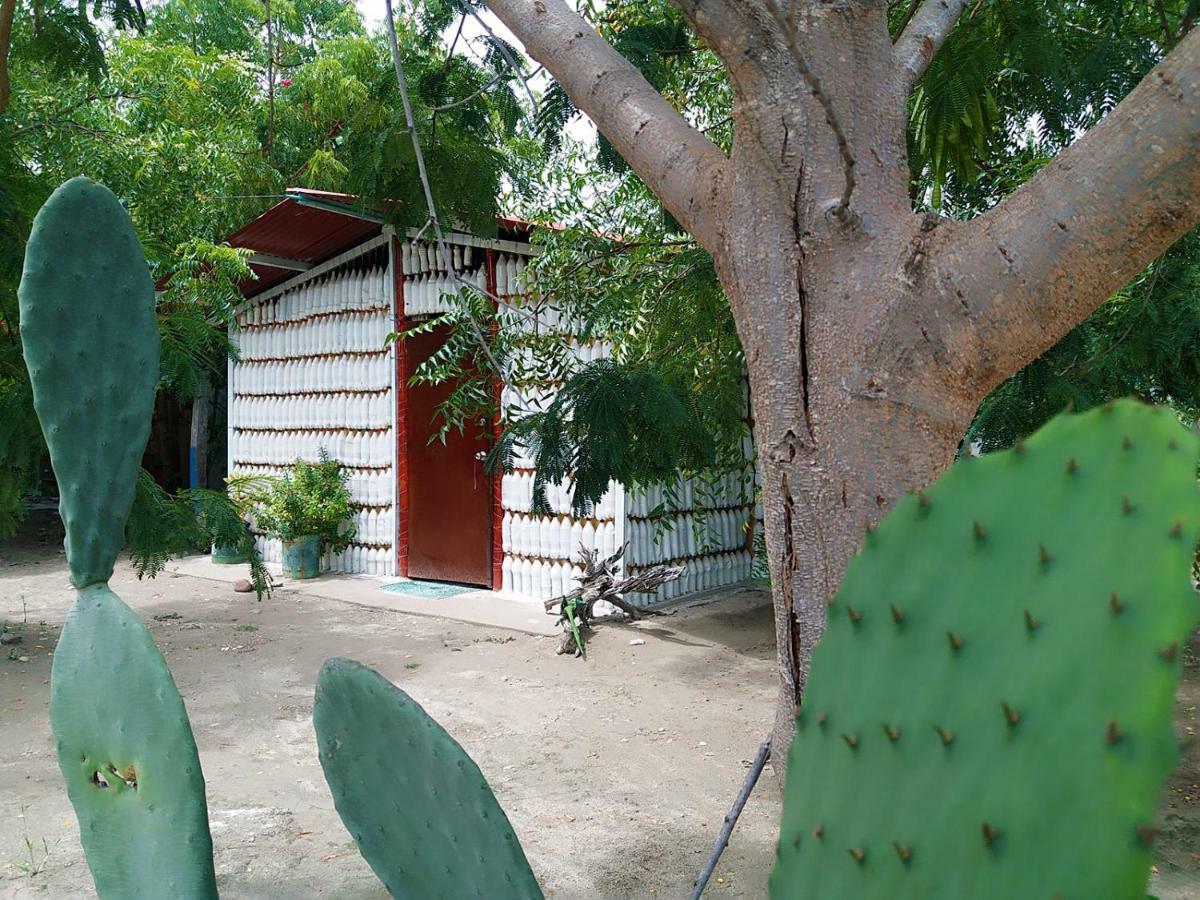 Alojamiento Casa De Campo Los Cactus วิลญาเวียคา ภายนอก รูปภาพ