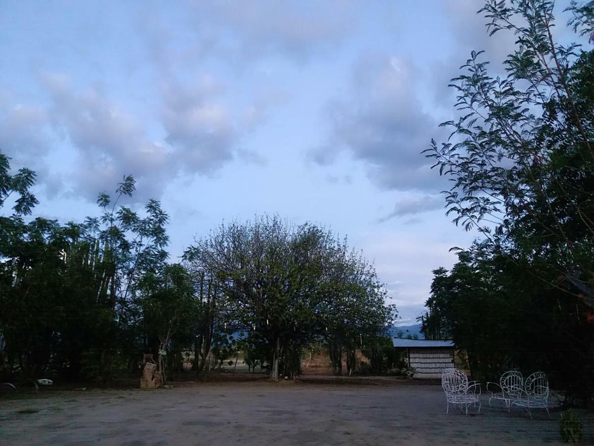 Alojamiento Casa De Campo Los Cactus วิลญาเวียคา ภายนอก รูปภาพ