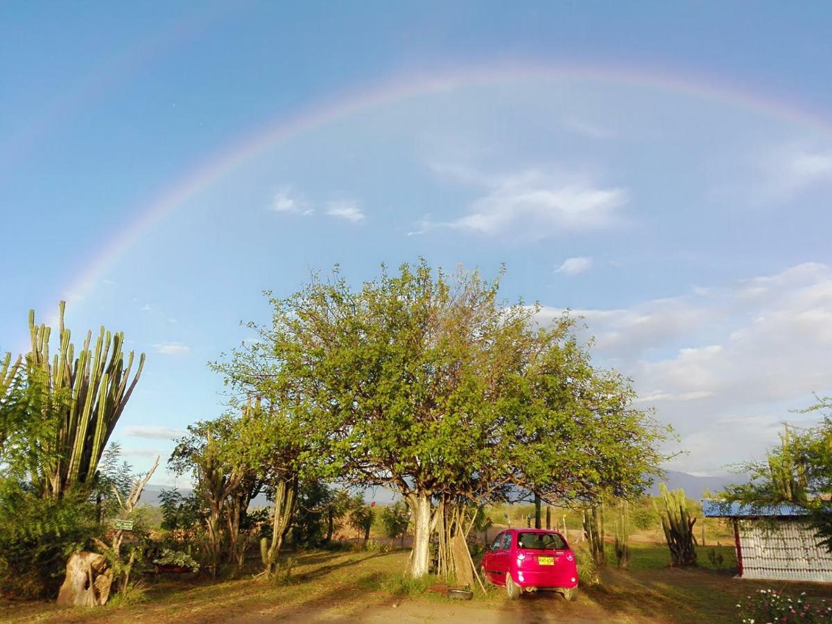 Alojamiento Casa De Campo Los Cactus วิลญาเวียคา ภายนอก รูปภาพ